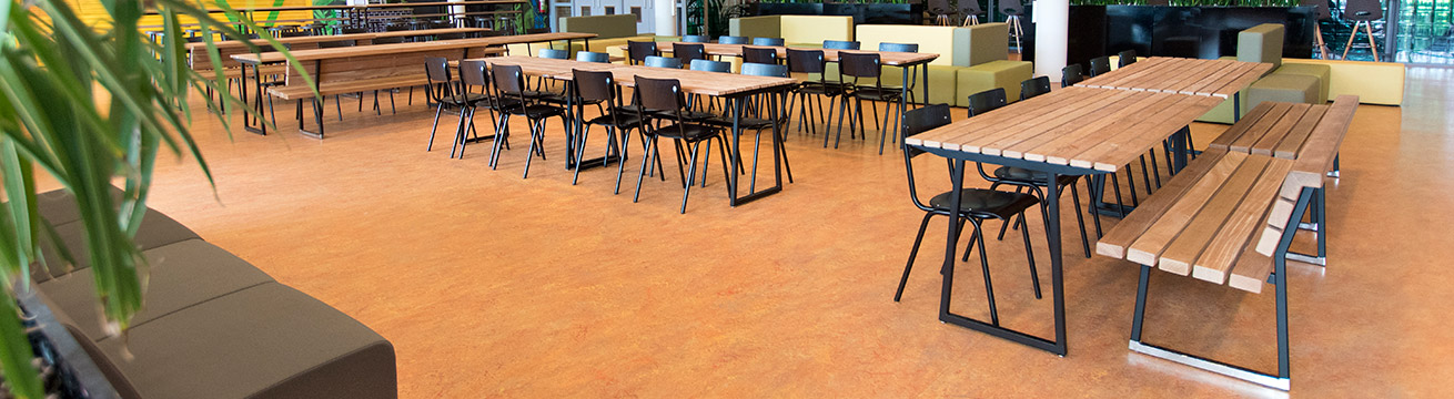 De banken en tafels van Buggy Outdoor zijn ideaal als schoolmeubilair.